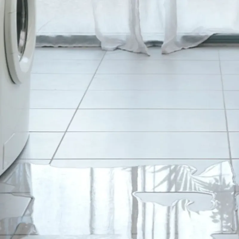 Appliance Leak Cleanup in Aroostook County, ME