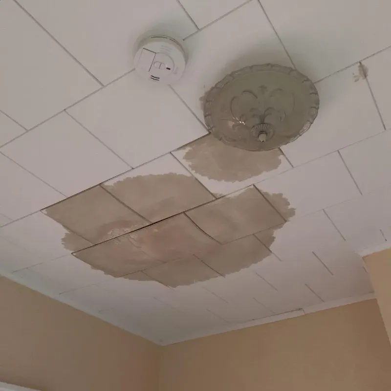 Ceiling Water Damage Repair in Aroostook County, ME