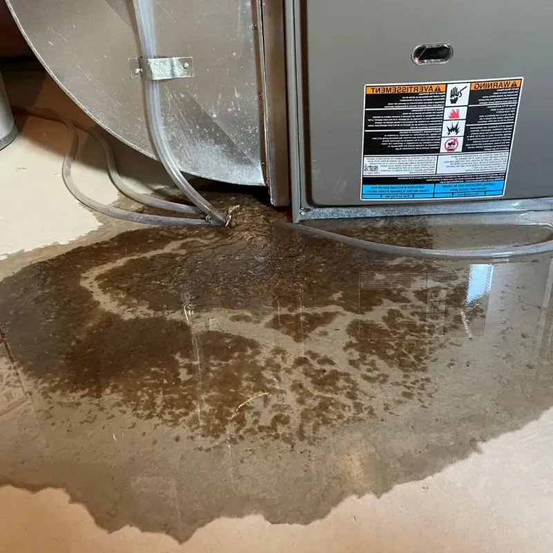 Pipe Burst and Leak Restoration in Aroostook County, ME