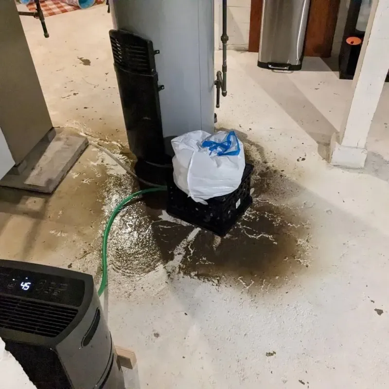 Sewage Backup Cleanup Service in Aroostook County, ME